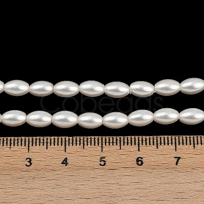 Electroplated Shell Pearl Beads Strands BSHE-H113-06C-06-1