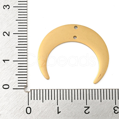 Ion Plating(IP) 304 Stainless Steel Connector Charms STAS-B056-27G-1