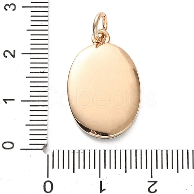 Printed Brass Enamel Pendants KK-CBADFD5-04G-A-1