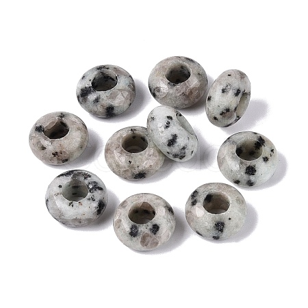 Natural Labradorite European Beads G-N359-17A-06-1