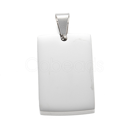 Tarnish Resistant 304 Stainless Steel Pendants STAS-F272-02P-1