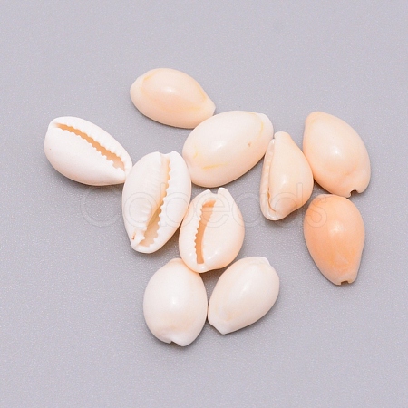 Natural Cowrie Shell Beads SSHEL-WH0001-31-1