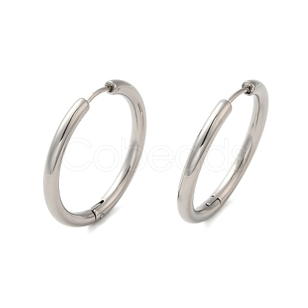 Non-Tarnish 304 Stainless Steel Hoop Earrings EJEW-P177-P-27-1