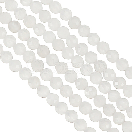 2 Strands Natural White Moonstone Beads Strands G-OC0004-42-1