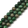 Natural Chrysocolla Beads Strands G-I318-09B-1