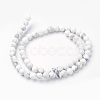 Natural Howlite Bead Strands G-G735-66F-6mm-2