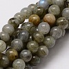 Natural Labradorite Round Beads Strands G-E329-6mm-48-1