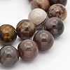 Natural Petrified Wood Round Beads Strands G-P101-01-10mm-1