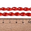 Transparent Glass Beads Strands GLAA-N071-01A-A05-4
