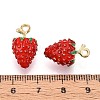 Alloy Enamel Pendants PALLOY-T092-15-3