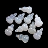 Natural Agate Pendants G-Q006-13-2