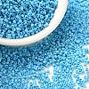 Cylinder Seed Beads X-SEED-H001-C16-1