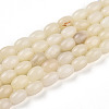 Natural White African Opal Beads Strands G-N346-02B-10-2