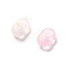 Gradient Color Transparent Frosted Acrylic Beads OACR-M023-06C-2