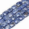 Natural Blue Spot Jasper Bead Strands G-T072-06-1