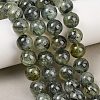 Natural Prehnite Beads Strands G-P322-48-8mm-5