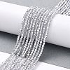 Transparent Electroplate Glass Beads Strands GLAA-H021-01A-HP06-3