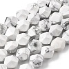Natural Howlite Beads Strands G-Z119-A43-03-3