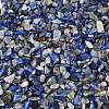 Natural Lapis Lazuli Chip Beads G-O103-21-2