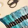 Polyester Embroidery Threads OCOR-WH20074-13B-01B-6