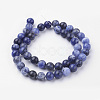 Natural Sodalite Bead Strands G-G735-58-8mm-A-2