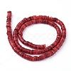 Shell Beads Strands SSHEL-E571-49H-2
