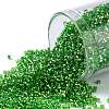 TOHO Round Seed Beads SEED-JPTR15-0027-1