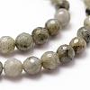 Natural Labradorite Beads Strands G-D840-10-6mm-3