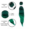 Long & Straight Hair Extension OHAR-G005-02D-2