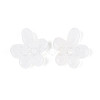Natural Quartz Crystal Pendants G-T142-44B-2
