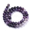 Natural Lepidolite/Purple Mica Stone Beads Strands G-K415-10mm-3