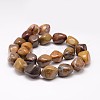 Natural Petrified Wood Bead Strands G-K153-D31-2