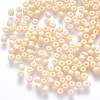 6/0 Baking Paint Glass Round Seed Beads SEED-S036-01C-19-1