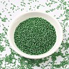 MIYUKI Delica Beads SEED-J020-DB0046-3