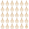 50Pcs Alloy Charms FIND-PH0010-52-1