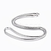 Non-Tarnish 304 Stainless Steel Snake Chain Necklaces NJEW-F248-01C-P-1