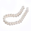 Natural Cultured Freshwater Pearl Beads Strands PEAR-I004-09-3