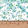 Baking Paint Glass Seed Beads X-SEED-S042-05B-52-4