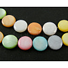 Natural Shell Beads Strands X-SHS034-1-1
