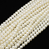 Natural Cultured Freshwater Pearl Beads Strands PEAR-L001-C-13-1