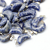 Moon Natural Blue Spot Jasper Pendants X-G-Q369-14-1