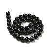Natural Black Onyx Round Bead Strands G-L271-02-10mm-5
