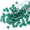 6/0 Transparent Glass Seed Beads SEED-YW0002-11B-2