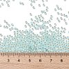 TOHO Round Seed Beads SEED-TR11-PF2116-3