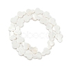 Natural Freshwater Shell Beads Strands SHEL-K010-02C-2