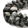 Natural Eagle Eye Stone Beads Strands G-N327-05-15-4