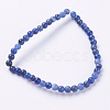 Natural Sodalite Beads Strands G-G515-4mm-07-2