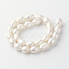 Natural Cultured Freshwater Pearl Beads Strands PEAR-R064-05-2