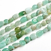 Natural Chrysoprase Beads Strands G-D0002-B21-1