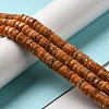 Natural Dolomite Beads Strands G-K350-B01-03E-2